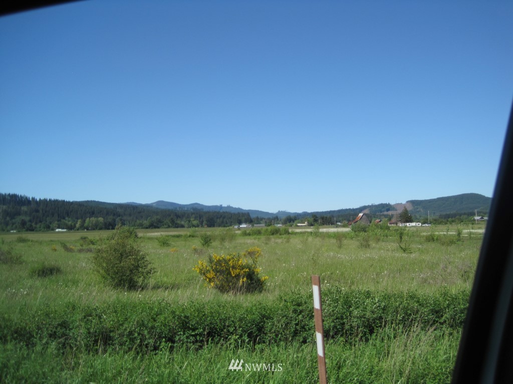 785 Pe Ell McDonald Road Chehalis, WA 98532 - Photo 1 of 6