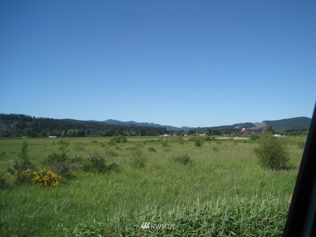 785 Pe Ell McDonald Road Chehalis, WA 98532 - Photo 2 of 6
