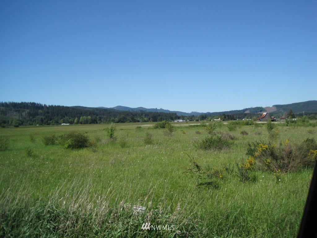785 Pe Ell McDonald Road Chehalis, WA 98532 - Photo 3 of 6