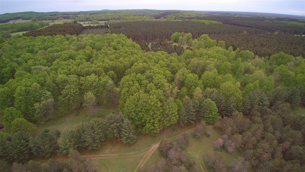 8601 West 30 Road Harrietta, MI 49638 - Photo 56 of 60 1827789-55.JPG