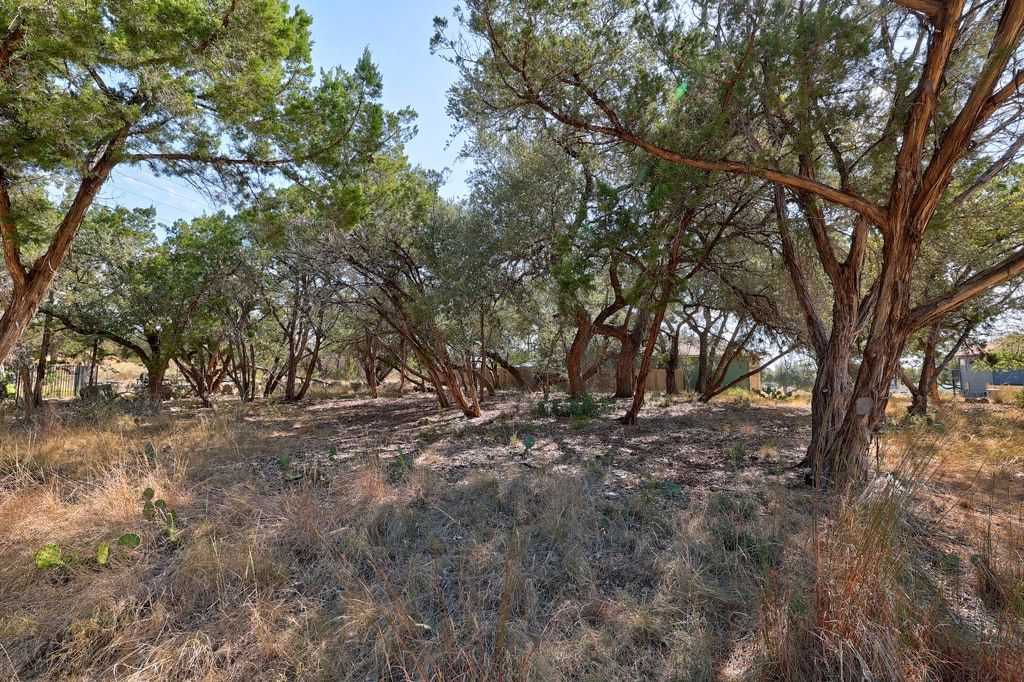 406 Summit Ridge Drive North Lago Vista, TX 78645 - Photo 3 of 25 a view of a forest with trees in the background