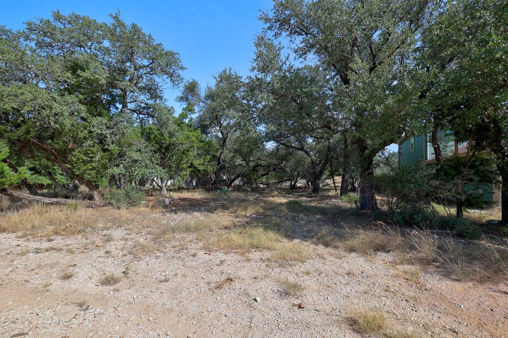 406 Summit Ridge Drive North Lago Vista, TX 78645 - Photo 4 of 25 a view of a forest with trees in the background