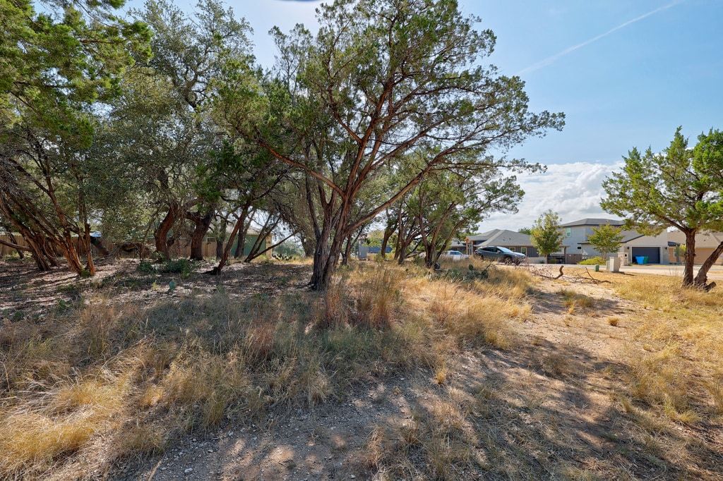 406 Summit Ridge Drive North Lago Vista, TX 78645 - Photo 5 of 25 a view of a yard with a tree