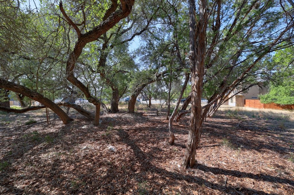 406 Summit Ridge Drive North Lago Vista, TX 78645 - Photo 6 of 25 a view of tree trees in a yard