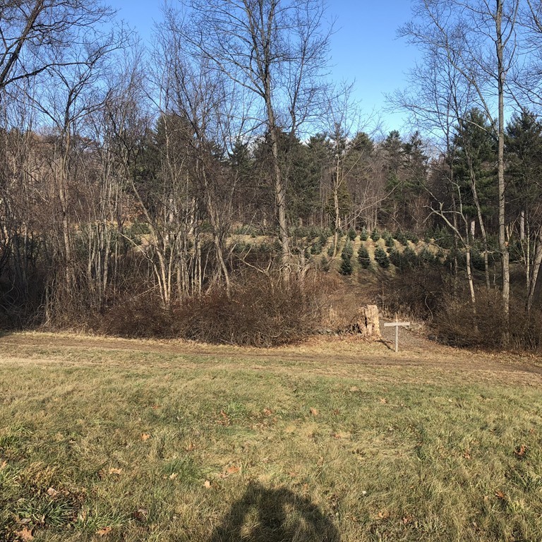 120 Salem Road Topsfield, MA 01983 - Photo 5 of 5 Gallery Image 5