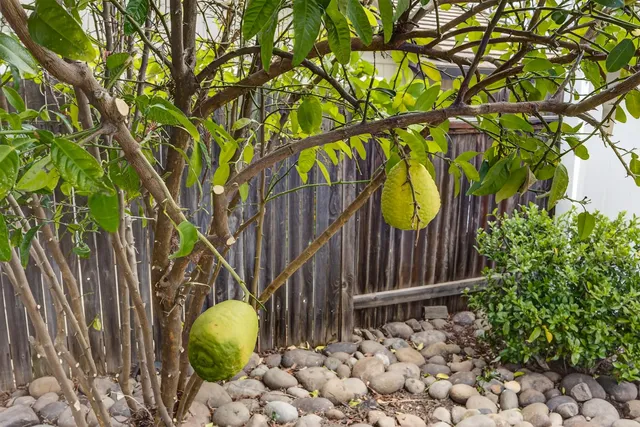 $799,000 | 4457 Green Mountain Court, Rocklin, CA 95677