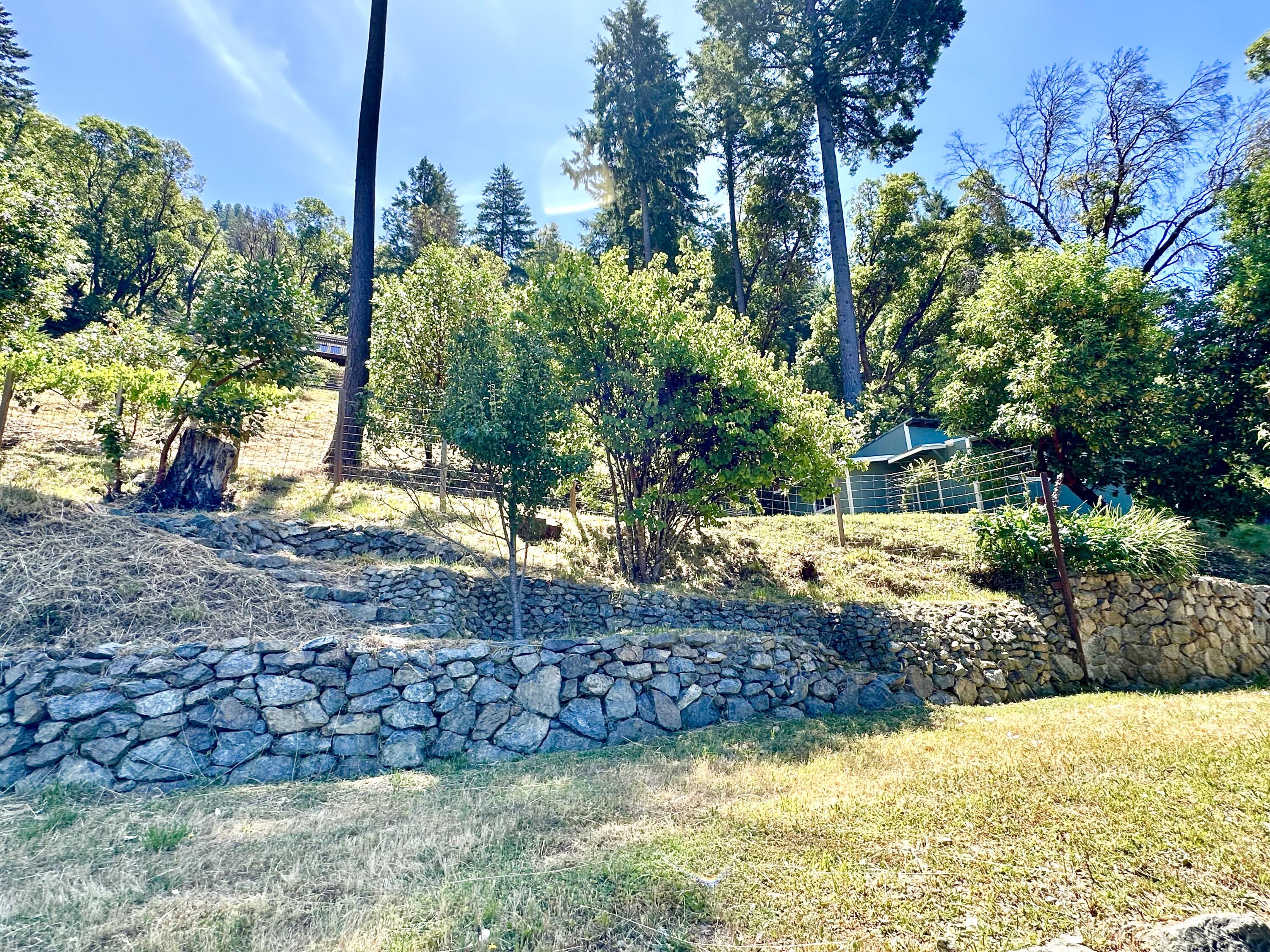 1665 Seeley Mc Intosh Road Willow Creek, CA 95573 - Photo 56 of 76