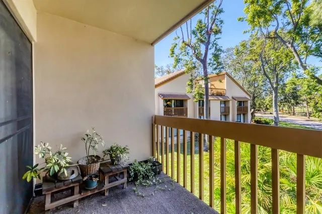 a view of a house with large windows and flower plants
