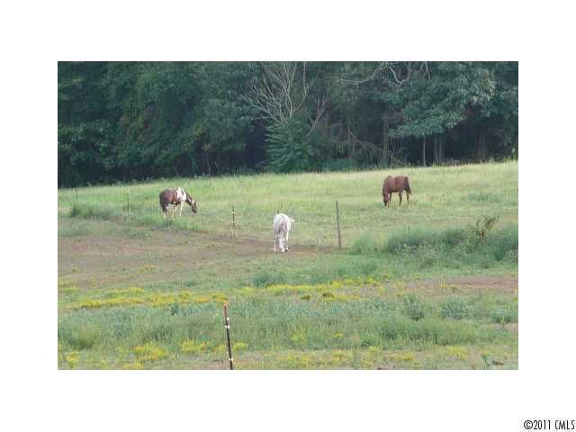 2225 Needmore Road Woodleaf, NC 27054 - Photo 4 of 12