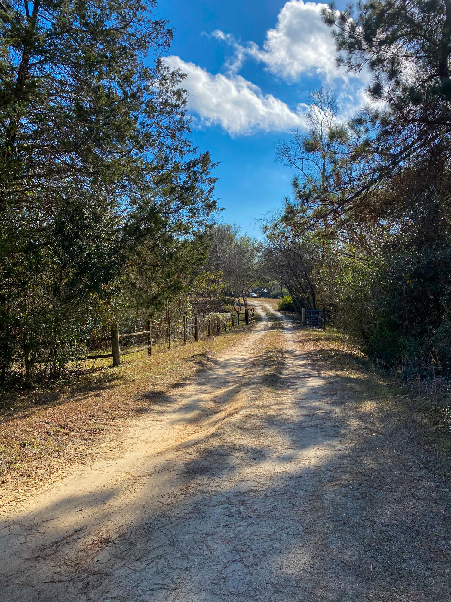 115 Walnut Heights Road Dorchester, SC 29437 - Photo 12 of 12 115 Walnut Heights - personal photos-8