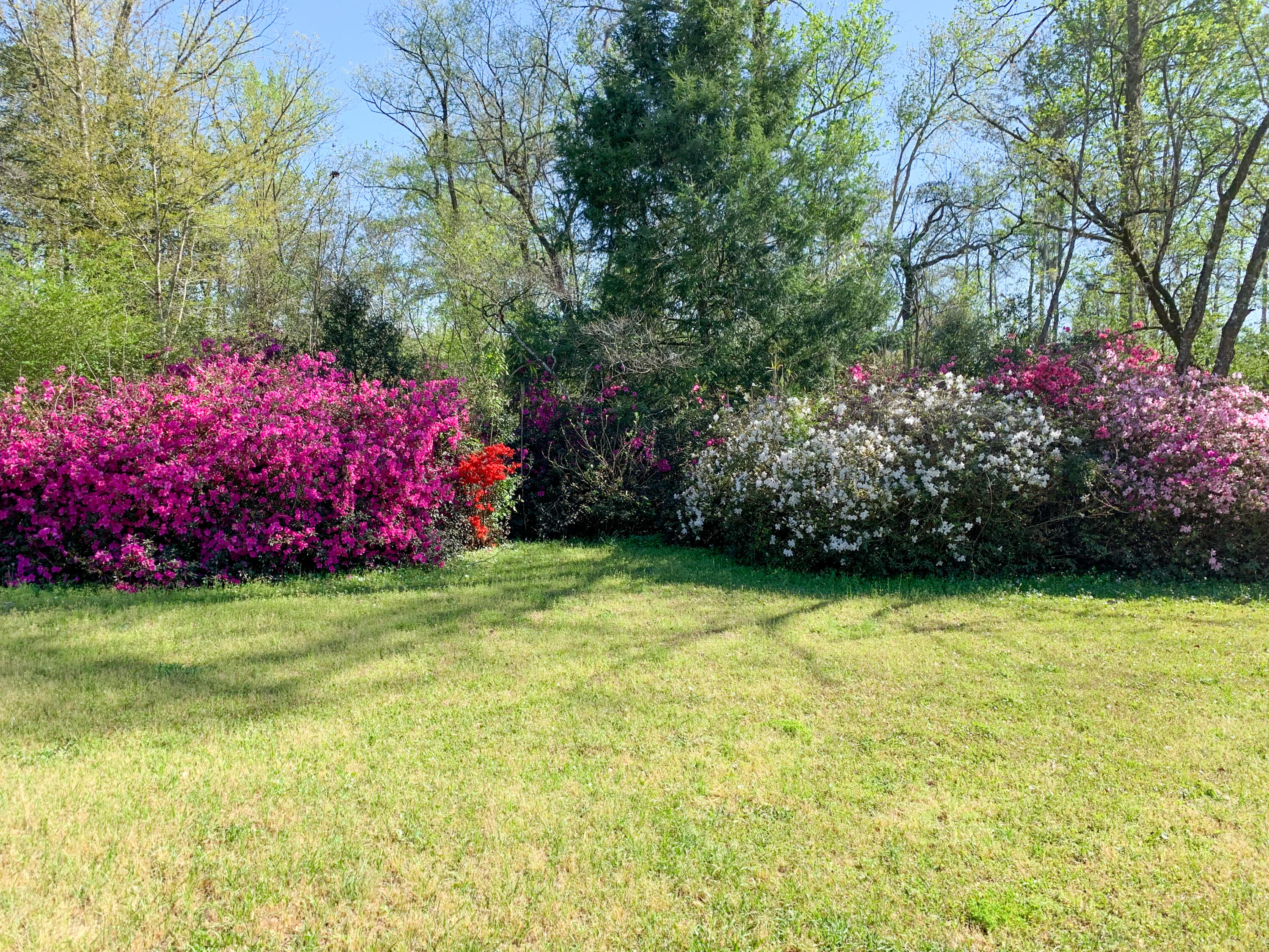 115 Walnut Heights Road Dorchester, SC 29437 - Photo 7 of 12 115 Walnut Heights - personal photos-10