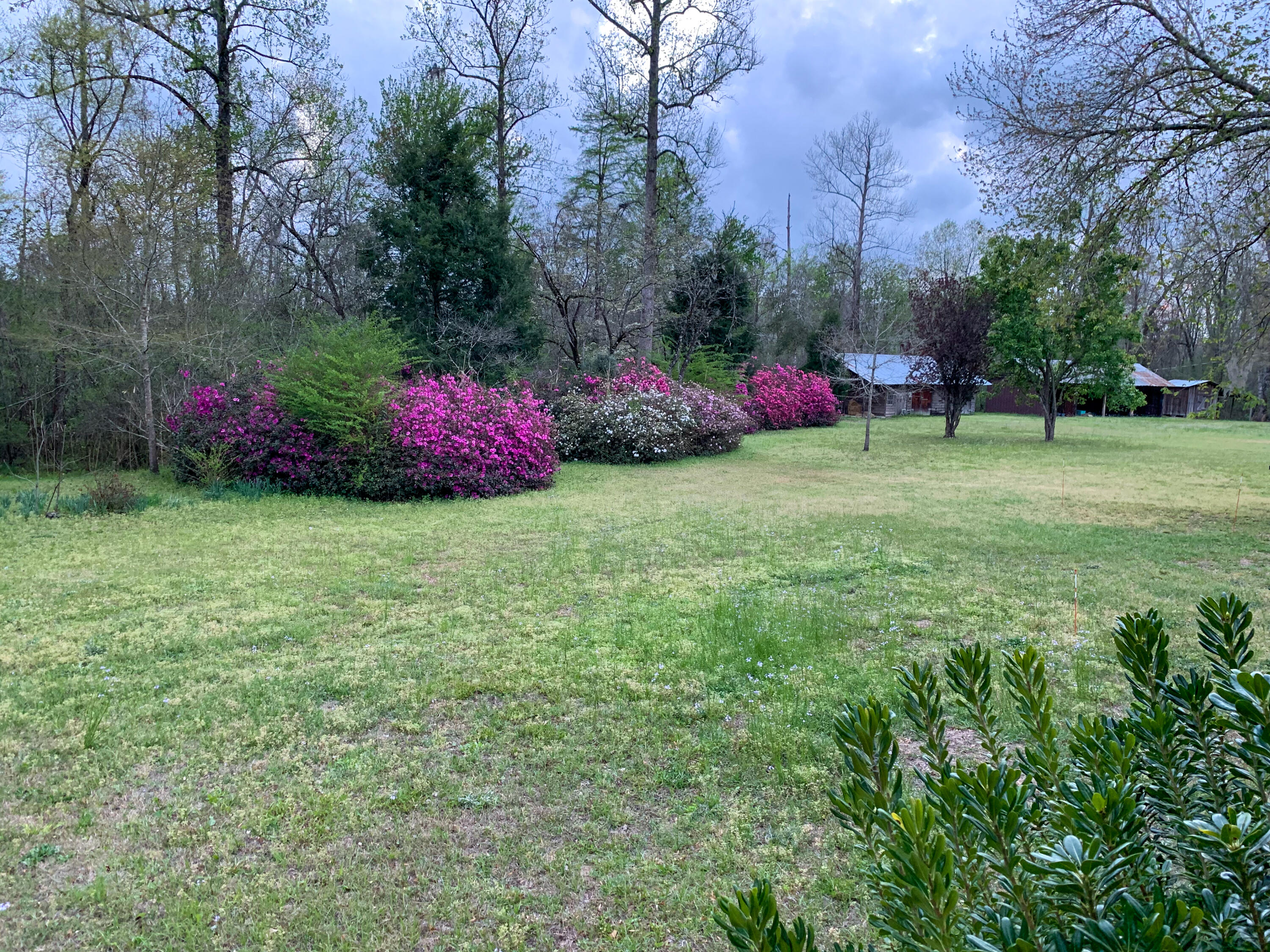 115 Walnut Heights Road Dorchester, SC 29437 - Photo 8 of 12 115 Walnut Heights - personal photos-9