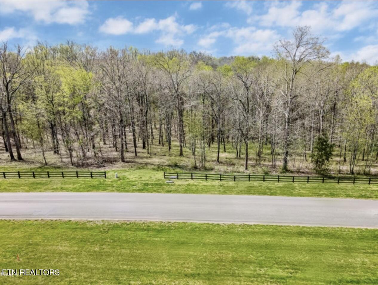 private wooded lot