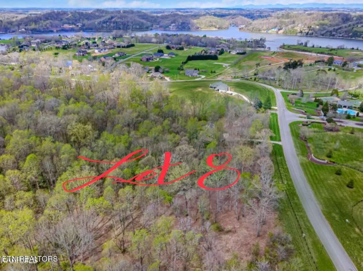 Rankin Ferry Loop Loop Louisville, TN 37777 - Photo 10 of 12 this area has larger lots