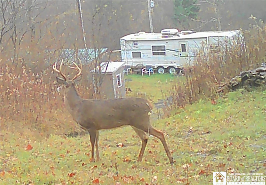 1186 28th Creek Road Ellington, NY 14747 - Photo 18 of 22