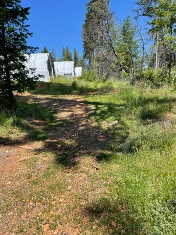 a view of a backyard