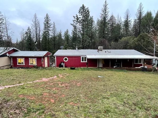 a view of a yard with a tree