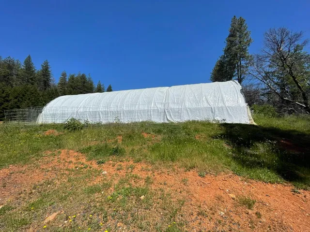 a view of a dry yard with trees