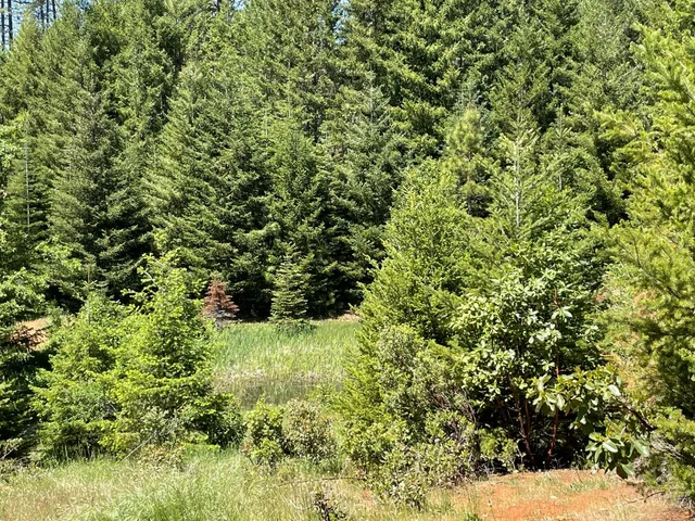 $285,000 | 35 Yancy Terrace, Berry Creek, CA 95916