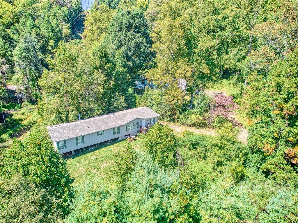 124 Oconeechee Road Clyde, NC 28721 - Photo 1 of 14 a view of a lush green forest with large trees