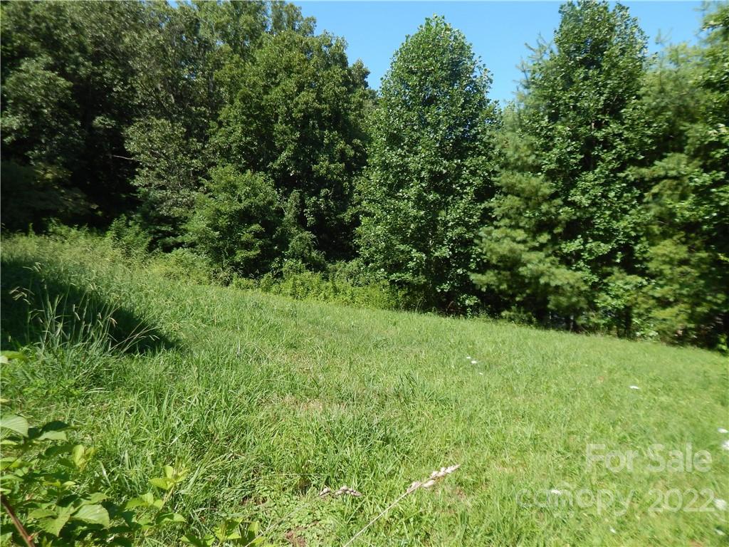 124 Oconeechee Road Clyde, NC 28721 - Photo 14 of 14 a view of a lush green space