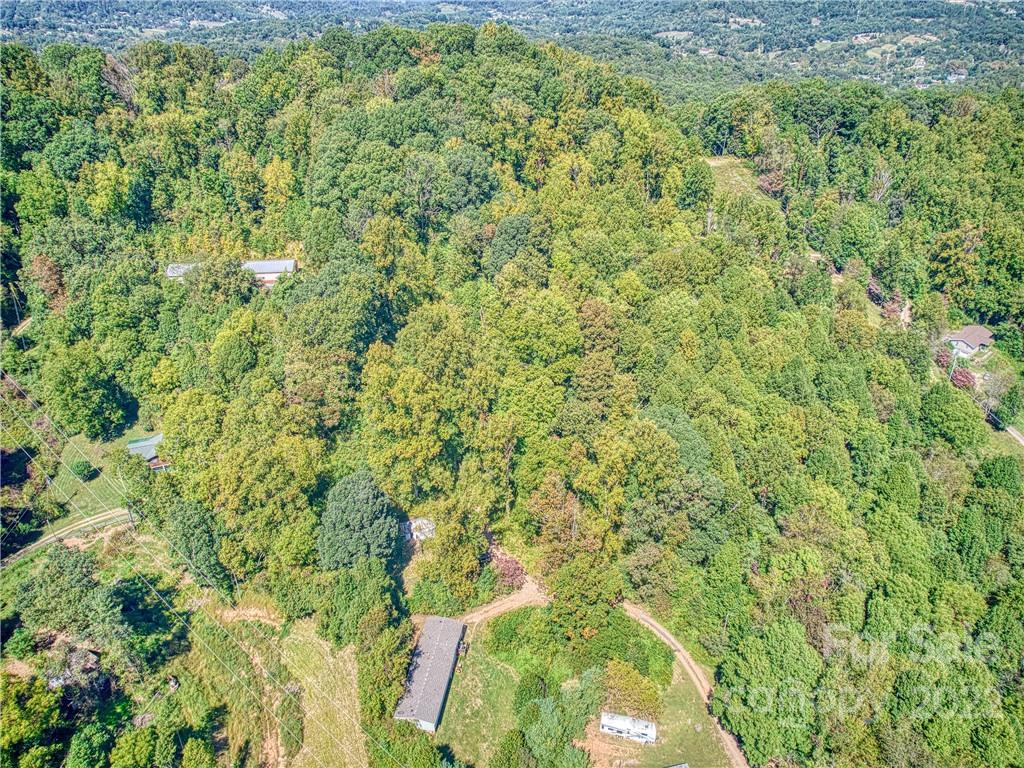 124 Oconeechee Road Clyde, NC 28721 - Photo 10 of 14 a view of a big yard with plants and large trees