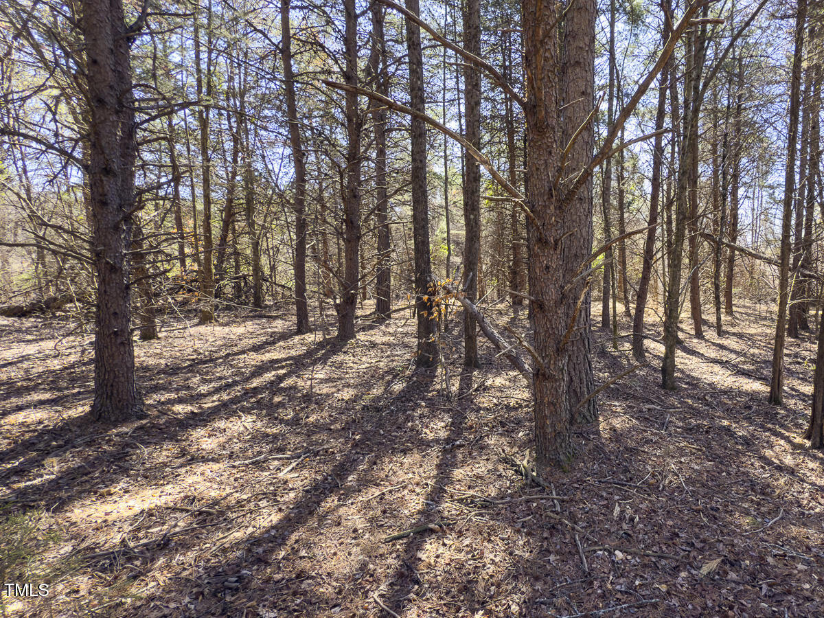 Lot 3 Goodman Road Pelham, NC 27311 - Photo 22 of 32 Caswell Co. NC 3.31-Skyview-Lot 3-22