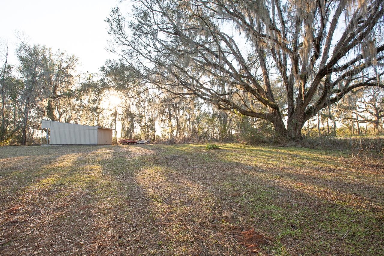 3908 North Salt Road Monticello, FL 32344 - Photo 6 of 42 Gallery Image 6