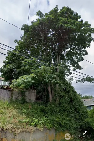 a backyard of a house with lots of green space