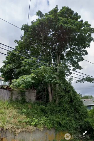 a backyard of a house with lots of green space