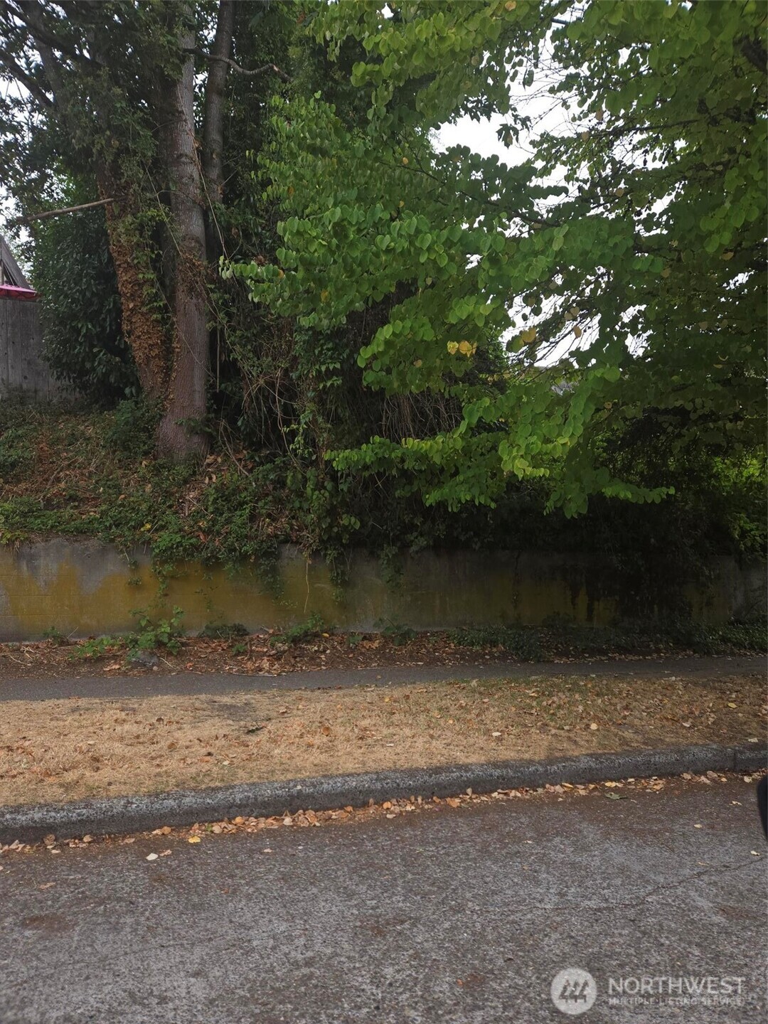 809 26th Avenue East Seattle, WA 98112 - Photo 2 of 3 a view of lake with green space
