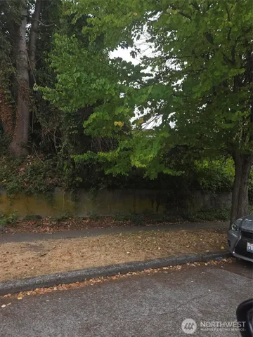 a view of a tree next to a lake