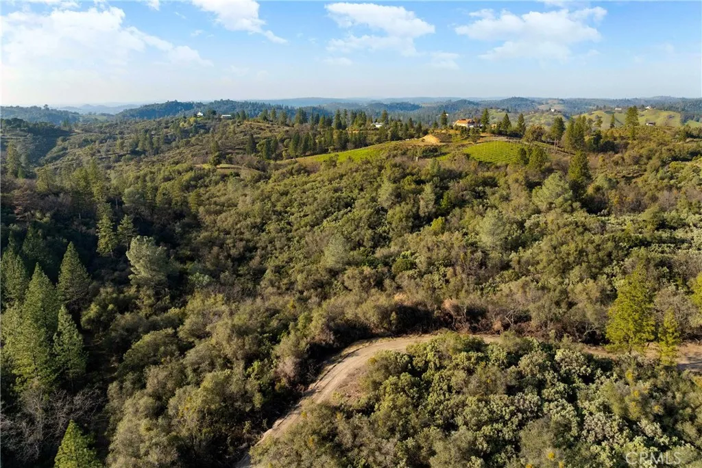 1 Ridge View Drive Sutter Creek, CA 95685 - Photo 19 of 25 an aerial view of a houses with a yard