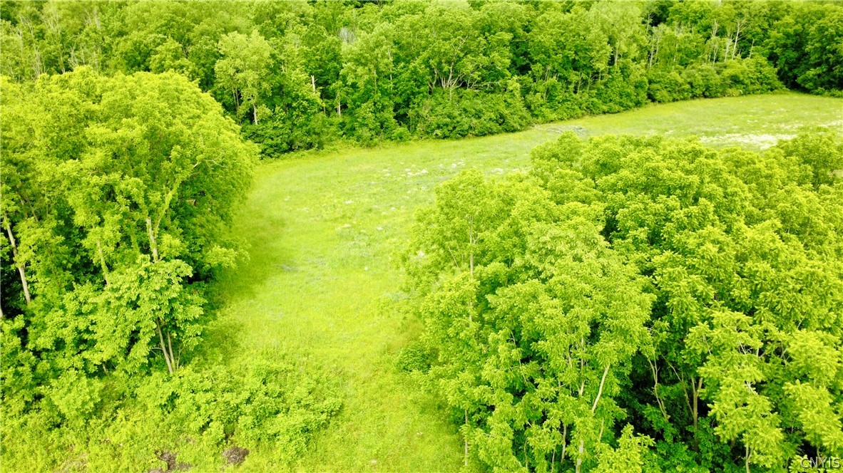 7675 Fosterville Road Montezuma, NY 13140 - Photo 42 of 44