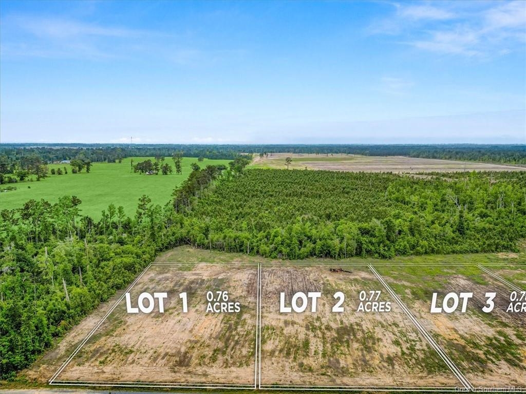 1 Pullin Road Ragley, LA 70657 - Photo 1 of 2