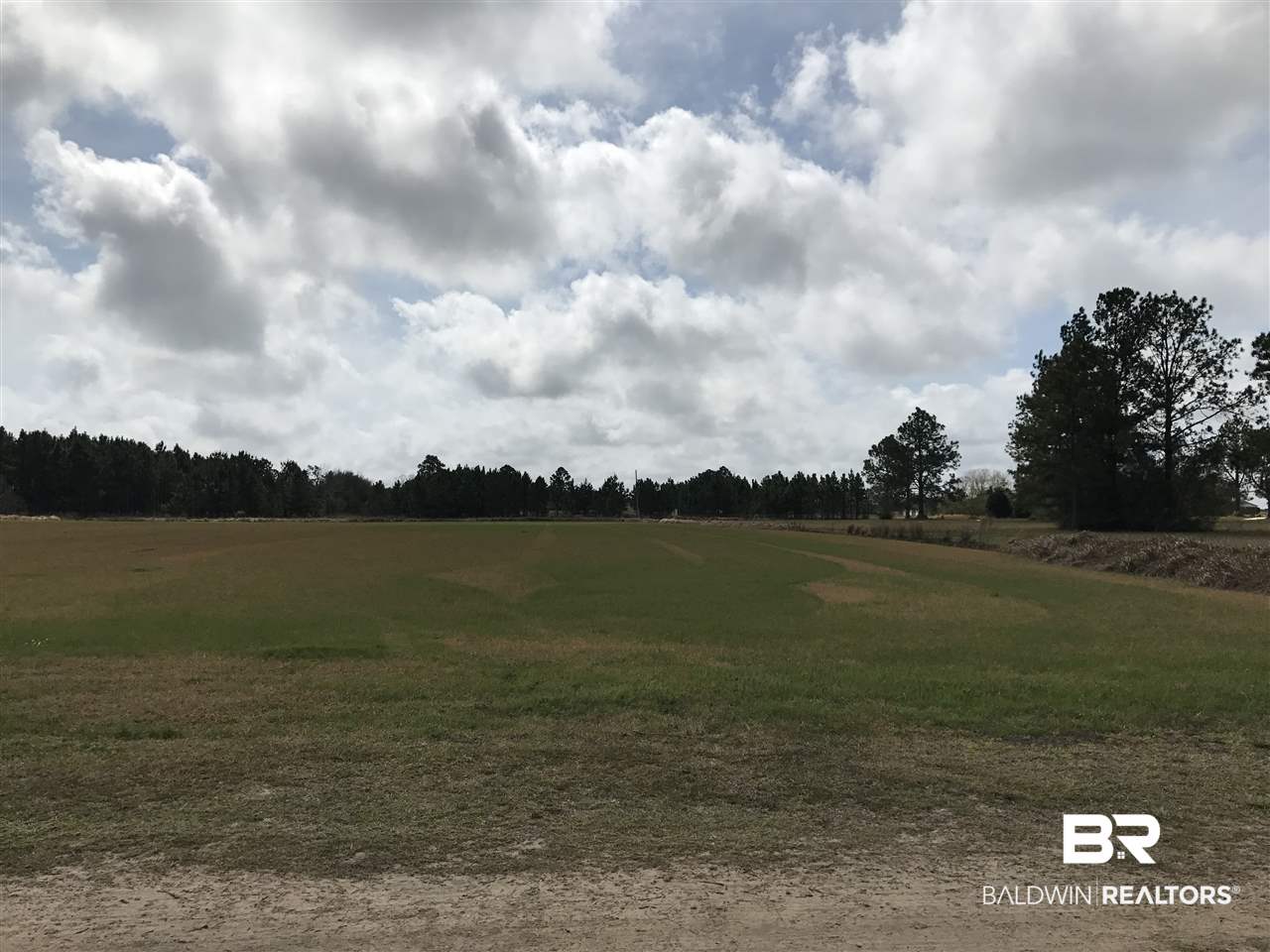 0 Singleton Lane Elberta, AL 36530 - Photo 3 of 5 Facing Southwest