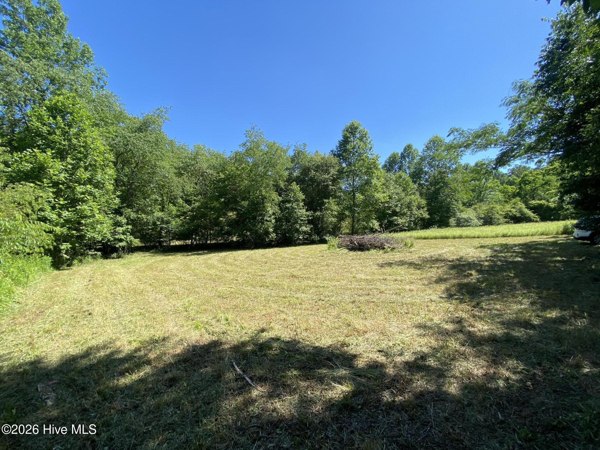 Lot 7 Running Bear Road Murphy, NC 28906 - Photo 11 of 14