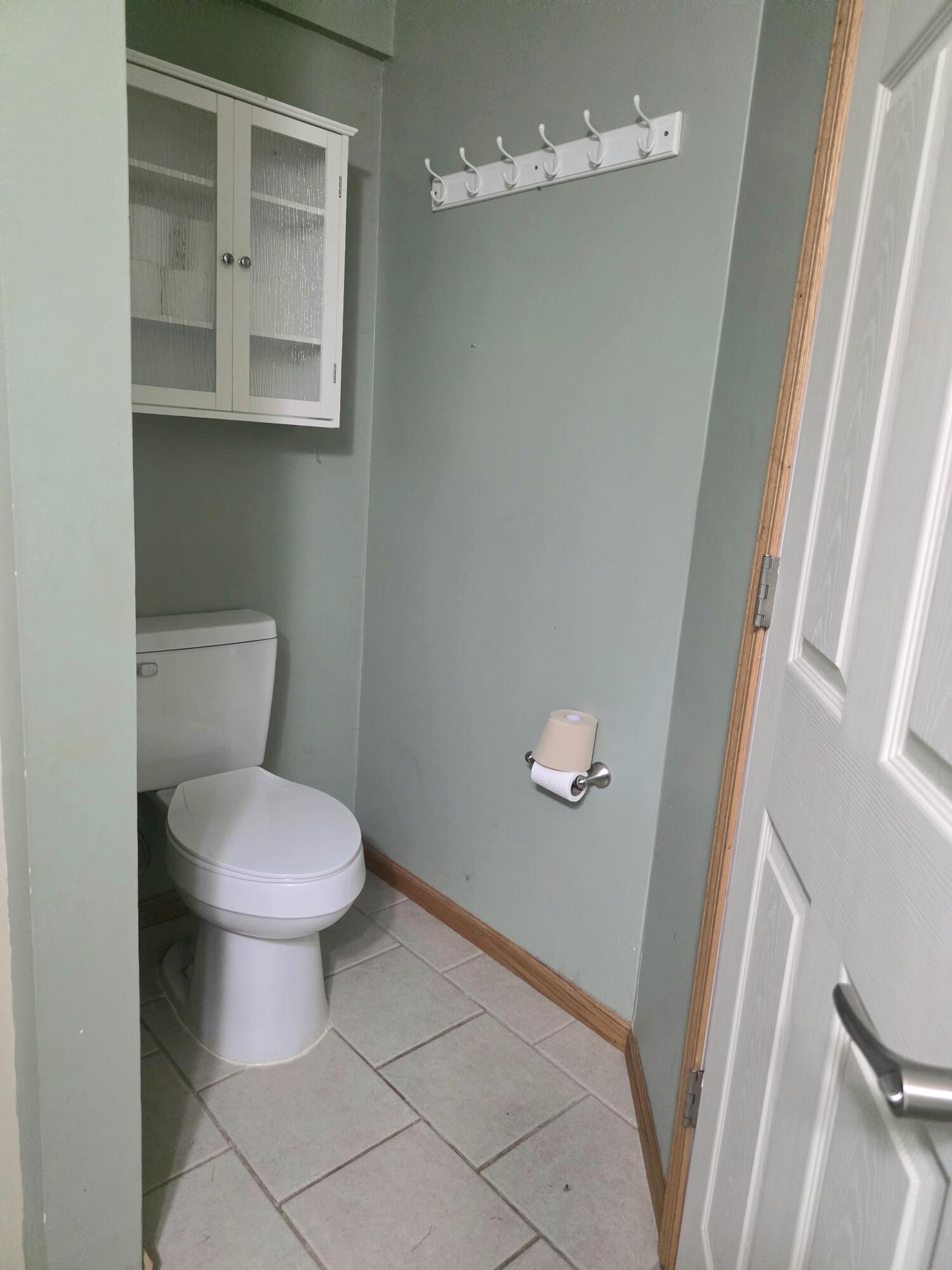 1402 Deaner Road Northeast Edmore, MI 48829 - Photo 13 of 17 Lower Bath