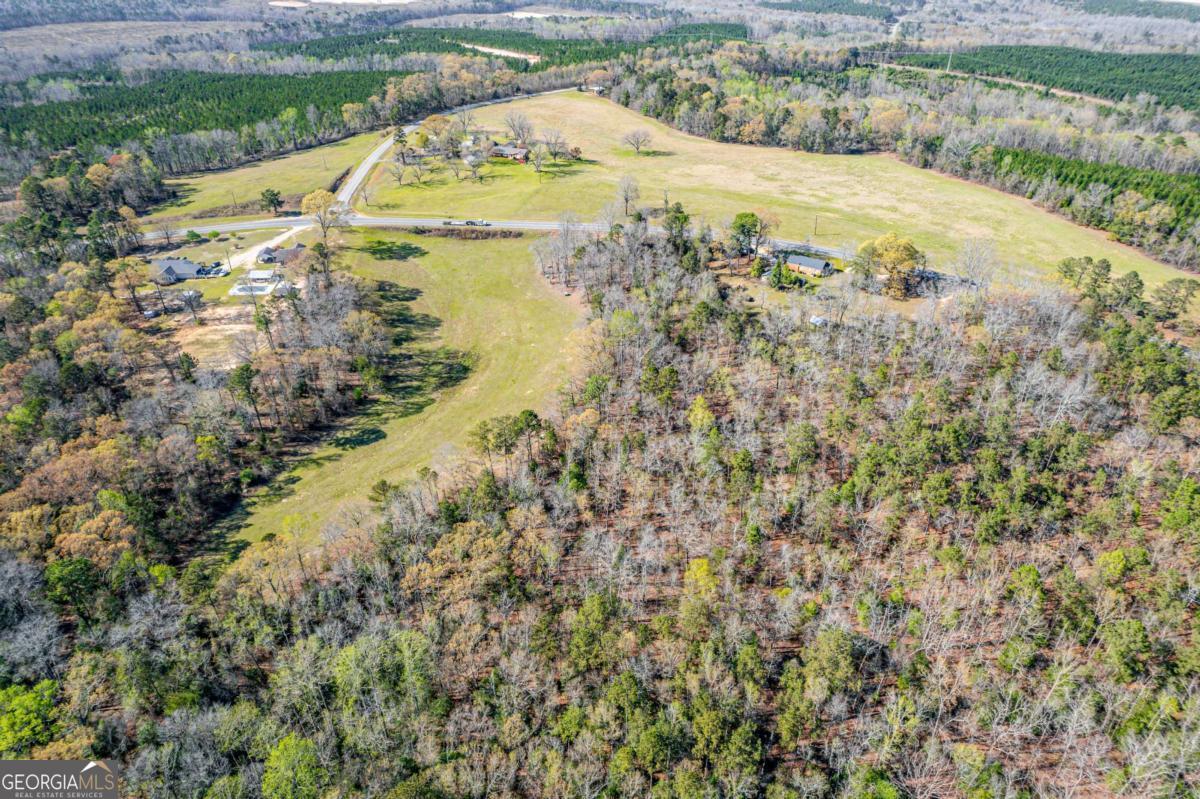 56 Claymont Road McIntyre, GA 31054 - Photo 61 of 63 a view of a lake with a mountain