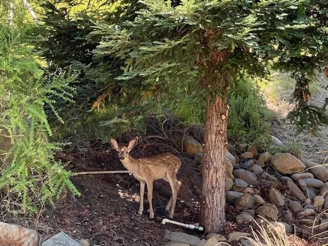 a view of a balcony with wooden floor