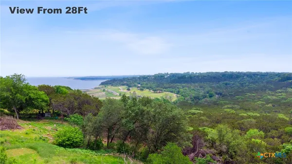 a view of a field with an trees