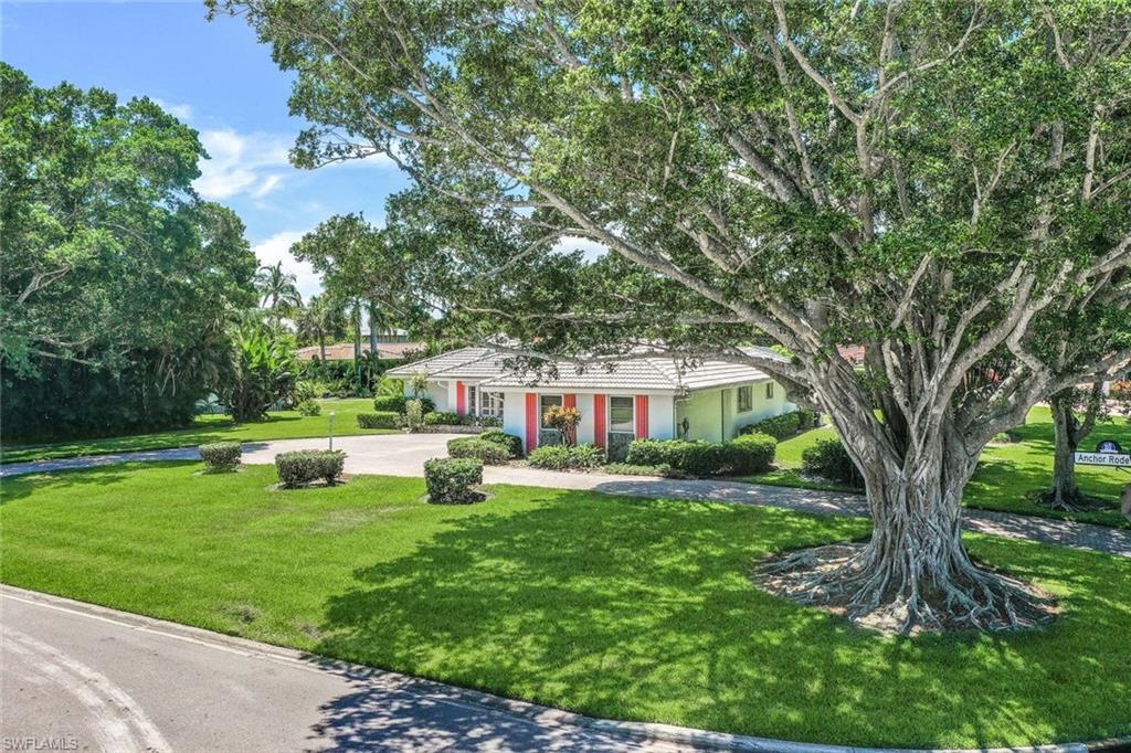 770 Anchor Rode Drive Naples, FL 34103 - Photo 7 of 26 The Ficus trees framing the property are exquisite natural sculptures