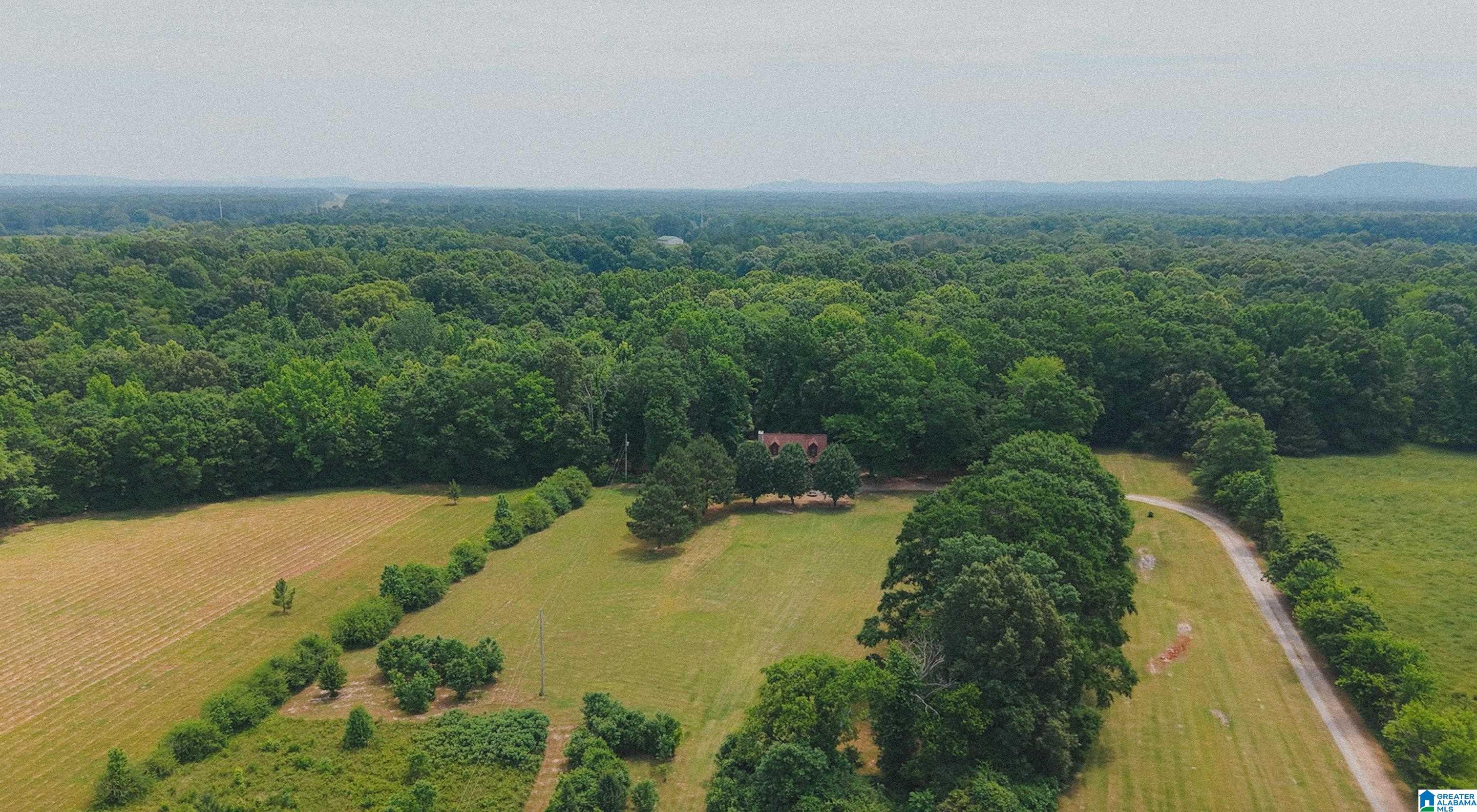 544 Fann Road Steele, AL 35987 - Photo 74 of 84