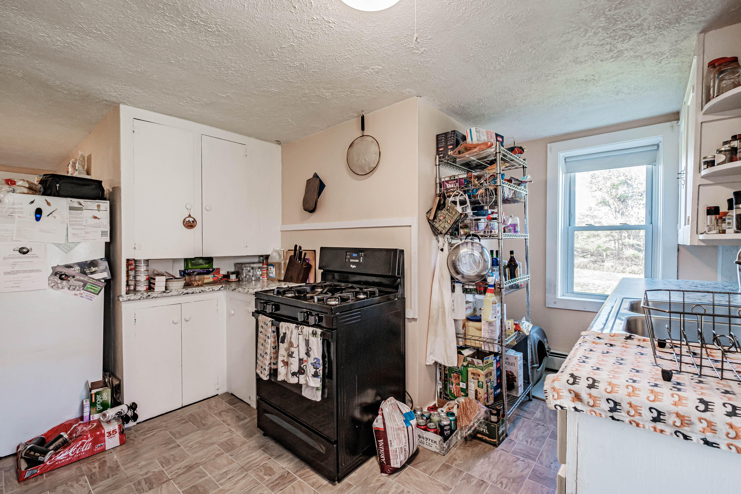 147 Plummer Road Gorham, ME 04038 - Photo 23 of 56 20231027gp-60099