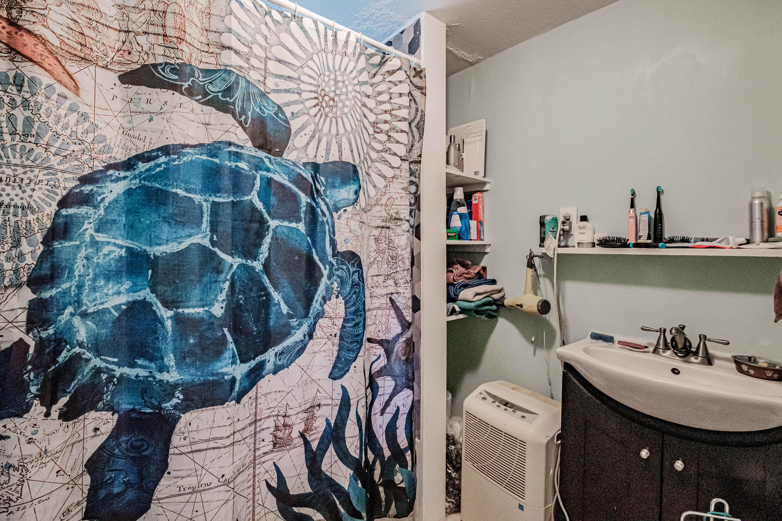 147 Plummer Road Gorham, ME 04038 - Photo 24 of 56 20231027gp-60103