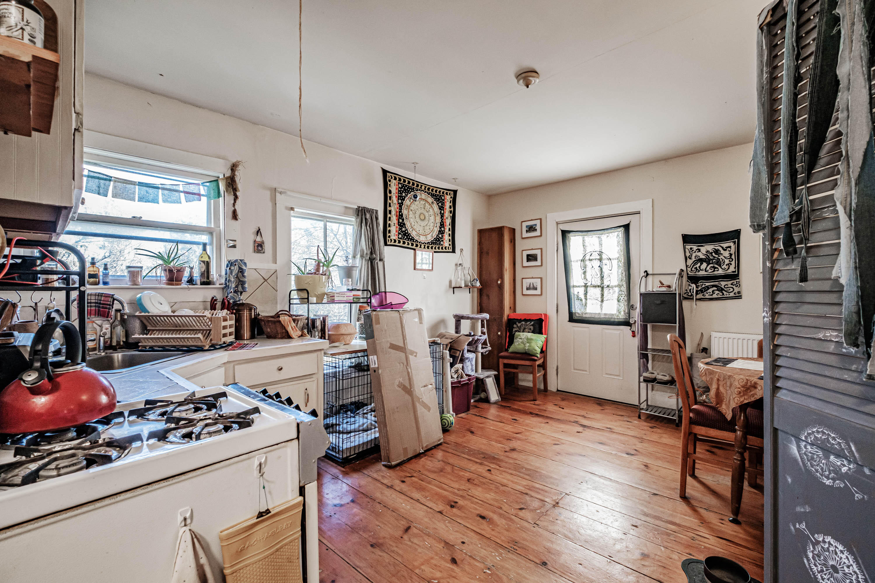 147 Plummer Road Gorham, ME 04038 - Photo 52 of 56 20231027gp-60039