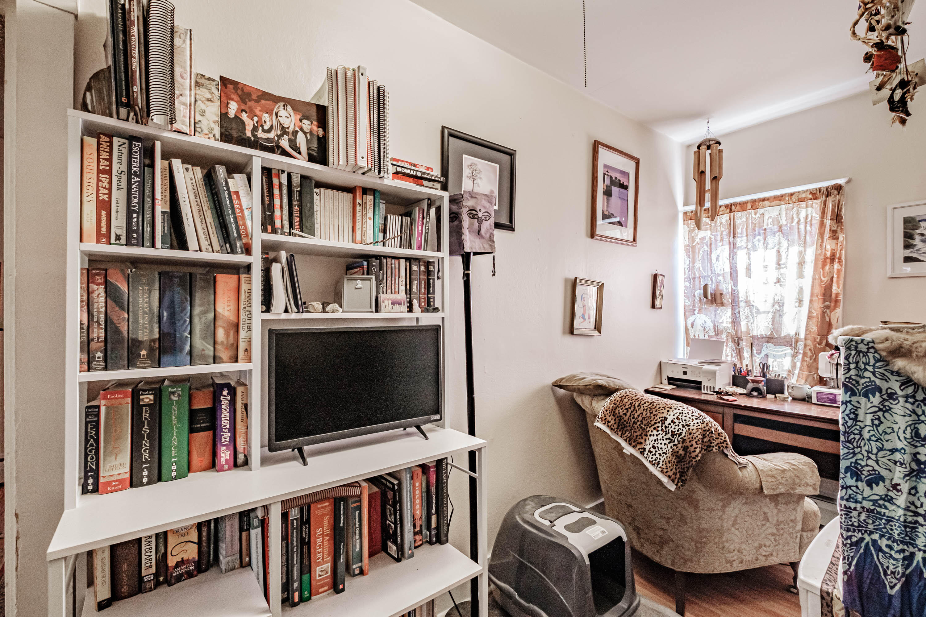 147 Plummer Road Gorham, ME 04038 - Photo 53 of 56 20231027gp-60045