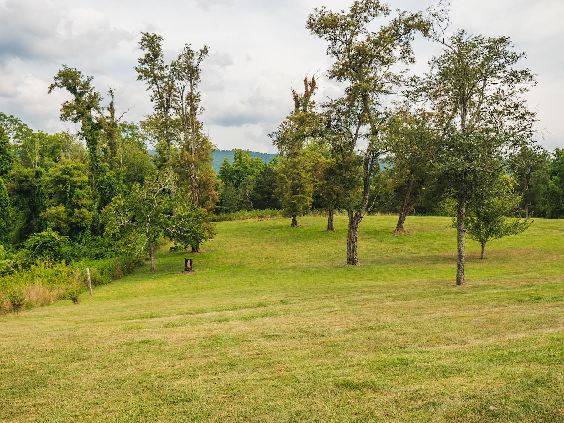 1124 Union Valley Road Riner, VA 24149 - Photo 42 of 67 a view of an ocean view