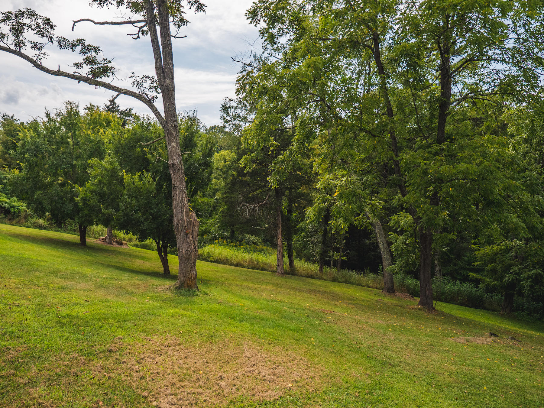 1124 Union Valley Road Riner, VA 24149 - Photo 45 of 67 a view of field with tall trees