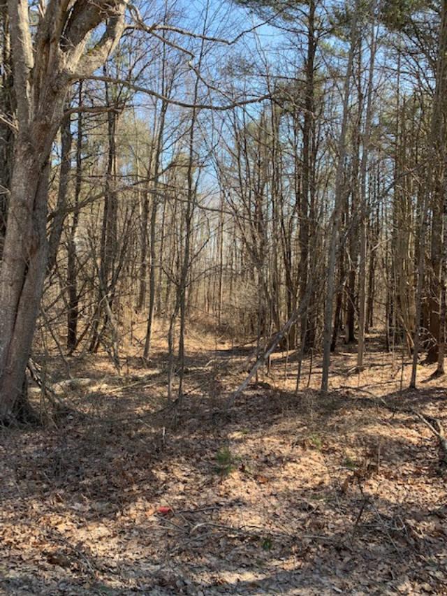 0 Middle Road Falmouth, ME 04105 - Photo 2 of 5 Falmouth land pic2